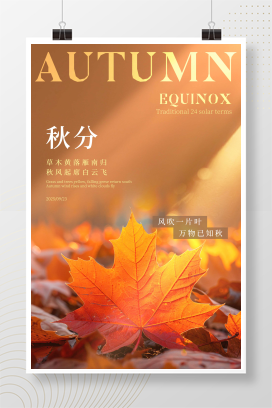 秋日枫叶光影二十四节气秋分海报