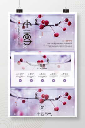 简约小雪节气雪景二十四节气介绍PPT模板